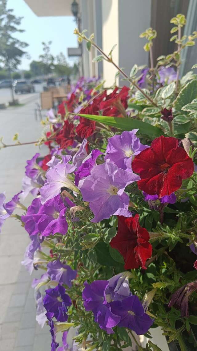 Гостиница Татарская усадьба Казань-225